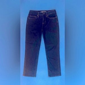 Lands End dark wash midrise straight jeans size 2 petite